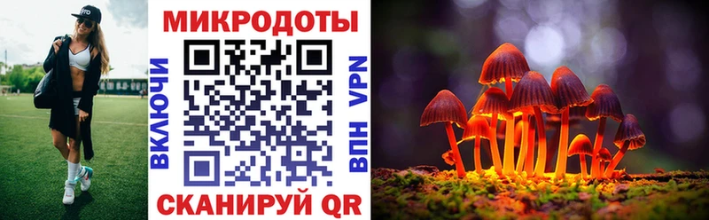 Псилоцибиновые грибы мицелий  Новокубанск 